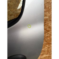 Porte Arriere Gauche Peugeot 206+ (4)