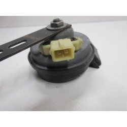 v (1)