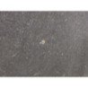 l (1)