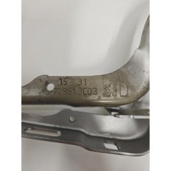 Charniere De Capot Peugeot 208 1 Phase 2 (2)