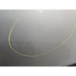 Porte Arriere Droit Volkswagen Golf 4 (2)