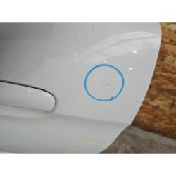 Porte Arriere Gauche Citroen Xsara Picasso Phase 2 (2)