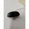 Bouton De Warning Citroen Xsara Picasso Phase 2 (2)
