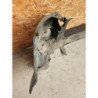 Pare Choc Arriere Renault Scenic 2 Phase 1 (11)