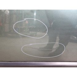 Porte Arriere Droit Renault Scenic 2 Phase 1 (2)