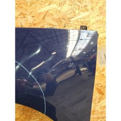 Aile Avant Gauche Renault Scenic 3 Phase 1 (3)