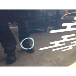Porte Arriere Gauche Ford Fiesta 6 Phase 1 (2)