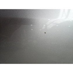 Porte Arriere Gauche Volkswagen Golf 6 (2)