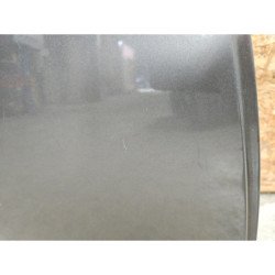 Porte Arriere Droit Renault Megane 3 Phase 1 (4)
