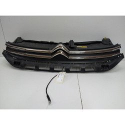 Calandre Citroen C3 3 Phase 1 (1)
