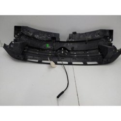 Calandre Citroen C3 3 Phase 1 (2)