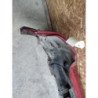 Pare Choc Arriere Dacia Sandero 1 (7)