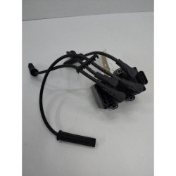 Bobine (allumage) Dacia Sandero 1 (1)