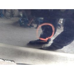 Malle/hayon Arriere Citroen Xsara Picasso Phase 1 (6)