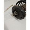 m (5)