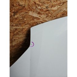 a (2)