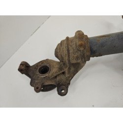 m (4)