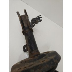 m (4)