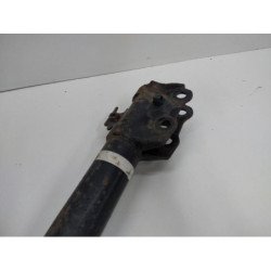 m (4)