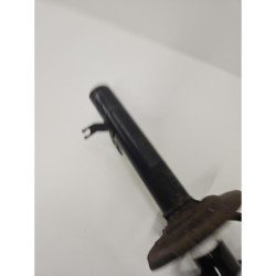 m (4)