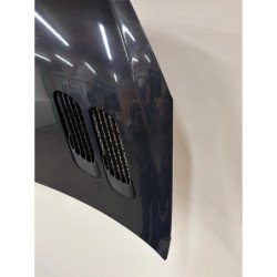 Capot Peugeot 206+ (2)