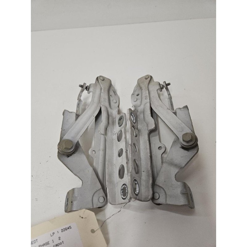 Charniere De Capot Peugeot 3008 2 Phase 1 (1)