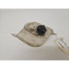 Vase De Lave Glace Peugeot 205 Phase 2 (1)