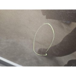 Porte Arriere Droit Renault Scenic 3 Phase 3 (4)