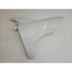 Aile Avant Droit Renault Megane 3 Phase 2 (1)