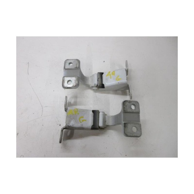 Charniere De Porte De Coffre Gauche Renault Kangoo 2 Phase 1 (1)
